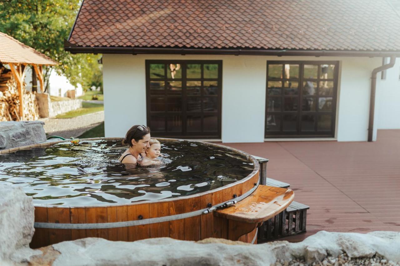 Conacul Gaal Kuria Hotel Dalnic Buitenkant foto